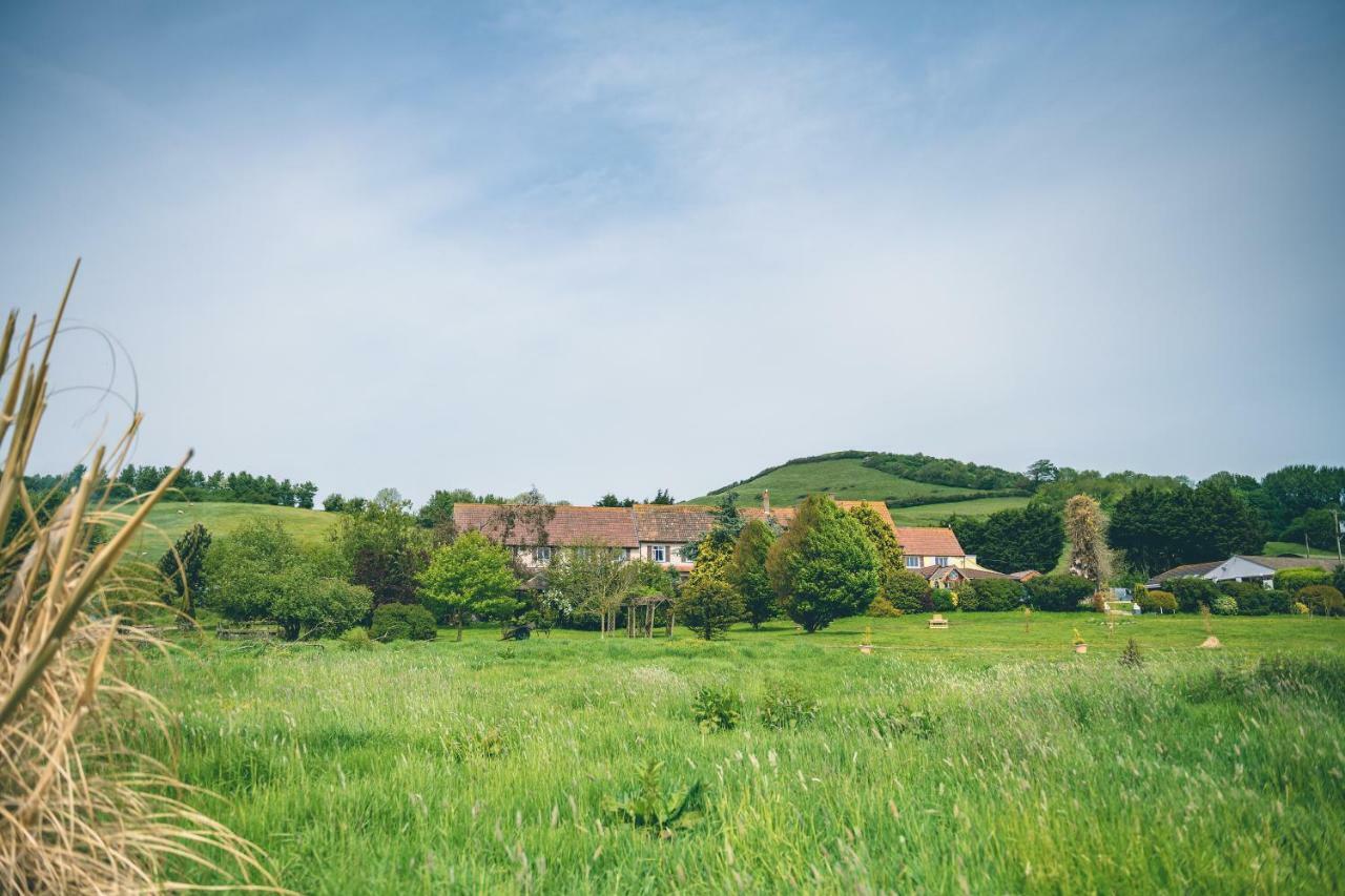 The Grange Hotel Brent Knoll Highbridge Exteriör bild